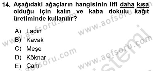 Grafik Üretim Ve Dijital Çoğaltım Teknikleri Dersi 2022 - 2023 Yılı Yaz Okulu Sınav Soruları 14. Soru