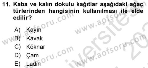 Grafik Üretim Ve Dijital Çoğaltım Teknikleri Dersi Dönem Sonu Sınavı Deneme Sınav Soruları 11. Soru