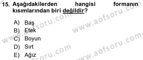 Grafik Üretim Ve Dijital Çoğaltım Teknikleri Dersi 2024 - 2025 Yılı Yaz Okulu Sınav Soruları 15. Soru