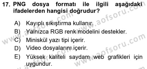 Grafik Üretim Ve Dijital Çoğaltım Teknikleri Dersi 2024 - 2025 Yılı Yaz Okulu Sınav Soruları 17. Soru