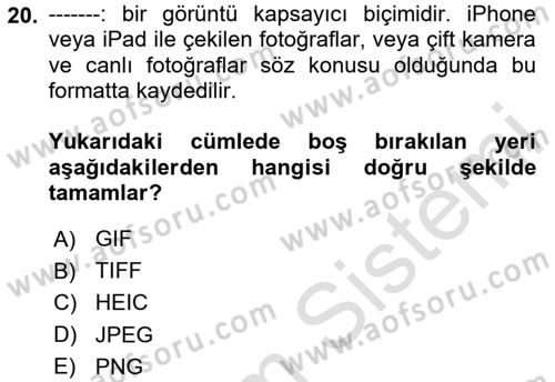 Grafik Üretim Ve Dijital Çoğaltım Teknikleri Dersi 2024 - 2025 Yılı Yaz Okulu Sınav Soruları 20. Soru