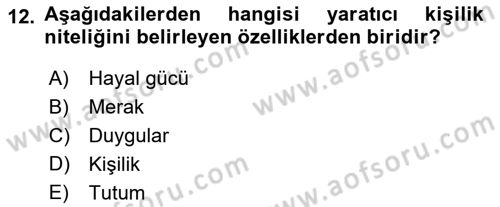 Görsel Tasarımda Yaratıcı Düşünme Teknikleri Dersi 2022 - 2023 Yılı (Final) Dönem Sonu Sınav Soruları 12. Soru
