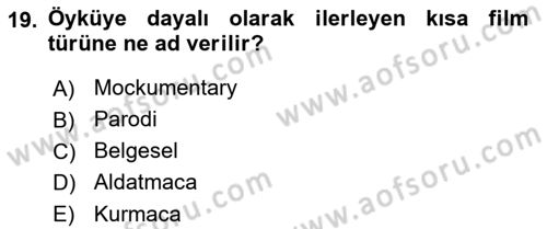 Görsel Tasarımda Yaratıcı Düşünme Teknikleri Dersi 2022 - 2023 Yılı (Final) Dönem Sonu Sınav Soruları 19. Soru