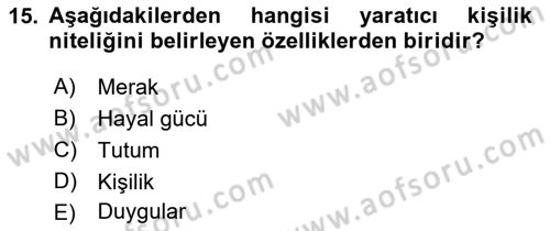 Görsel Tasarımda Yaratıcı Düşünme Teknikleri Dersi 2022 - 2023 Yılı Yaz Okulu Sınav Soruları 15. Soru