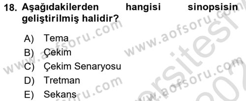 Görsel Tasarımda Yaratıcı Düşünme Teknikleri Dersi 2023 - 2024 Yılı (Final) Dönem Sonu Sınav Soruları 18. Soru