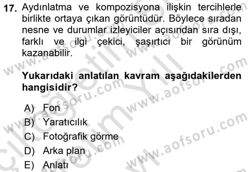 Görsel Tasarımda Yaratıcı Düşünme Teknikleri Dersi 2023 - 2024 Yılı Yaz Okulu Sınav Soruları 17. Soru