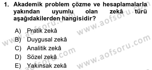 Görsel Tasarımda Yaratıcı Düşünme Teknikleri Dersi 2024 - 2025 Yılı (Vize) Ara Sınav Soruları 1. Soru