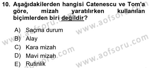 Görsel Tasarımda Yaratıcı Düşünme Teknikleri Dersi 2024 - 2025 Yılı (Final) Dönem Sonu Sınav Soruları 10. Soru