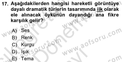 Görsel Tasarımda Yaratıcı Düşünme Teknikleri Dersi 2024 - 2025 Yılı (Final) Dönem Sonu Sınav Soruları 17. Soru