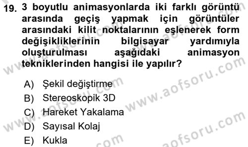 Görsel Tasarımda Yaratıcı Düşünme Teknikleri Dersi 2024 - 2025 Yılı (Final) Dönem Sonu Sınav Soruları 19. Soru