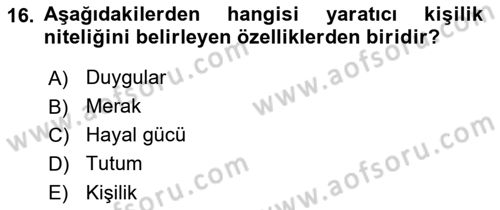 Görsel Tasarımda Yaratıcı Düşünme Teknikleri Dersi 2024 - 2025 Yılı Yaz Okulu Sınav Soruları 16. Soru
