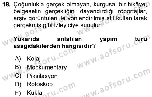 Görsel Tasarımda Yaratıcı Düşünme Teknikleri Dersi 2024 - 2025 Yılı Yaz Okulu Sınav Soruları 18. Soru