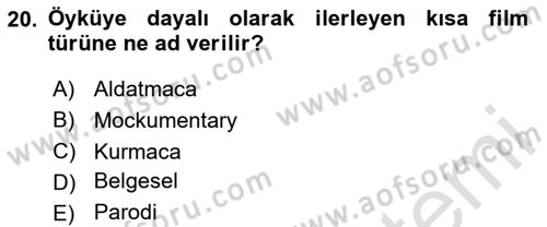 Görsel Tasarımda Yaratıcı Düşünme Teknikleri Dersi 2024 - 2025 Yılı Yaz Okulu Sınav Soruları 20. Soru