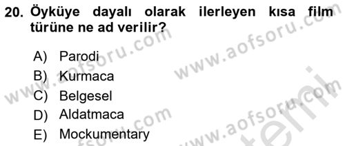 Görsel Tasarımda Yaratıcı Düşünme Teknikleri Dersi 2025 - 2026 Yılı (Final) Dönem Sonu Sınav Soruları 20. Soru