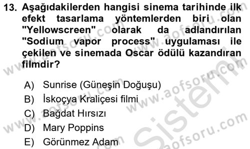 Dijital Görüntüleme İşleme Yöntemleri Dersi 2024 - 2025 Yılı Yaz Okulu Sınav Soruları 13. Soru
