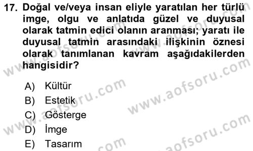 Görsel İletişim Ve Kuramları Dersi 2023 - 2024 Yılı Yaz Okulu Sınav Soruları 17. Soru