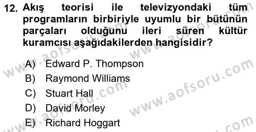 Görsel İletişim Ve Kuramları Dersi 2024 - 2025 Yılı (Final) Dönem Sonu Sınav Soruları 12. Soru