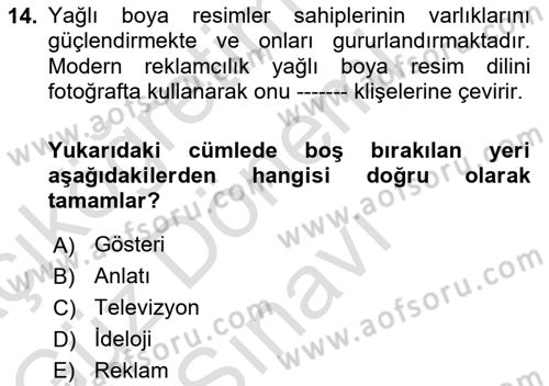 Görsel İletişim Ve Kuramları Dersi 2024 - 2025 Yılı (Final) Dönem Sonu Sınav Soruları 14. Soru