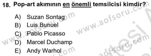 Görsel İletişim Ve Kuramları Dersi 2024 - 2025 Yılı (Final) Dönem Sonu Sınav Soruları 18. Soru