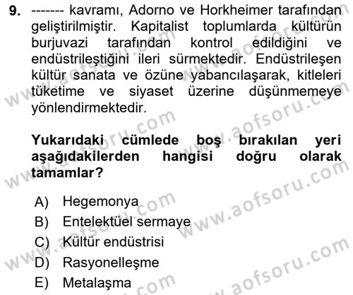 Görsel İletişim Ve Kuramları Dersi 2024 - 2025 Yılı (Final) Dönem Sonu Sınav Soruları 9. Soru