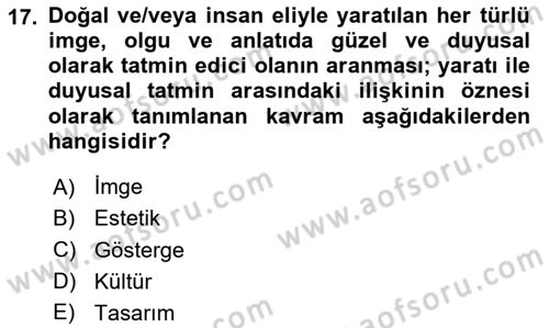 Görsel İletişim Ve Kuramları Dersi 2024 - 2025 Yılı Yaz Okulu Sınav Soruları 17. Soru