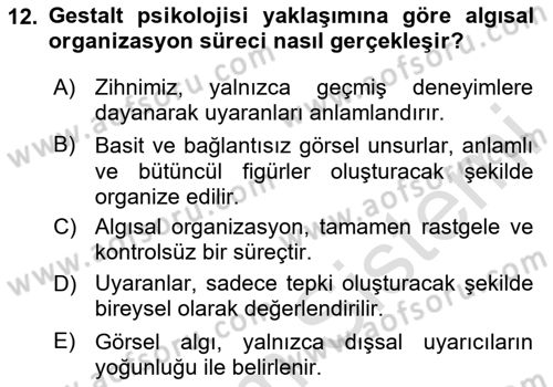 Görsel İletişim Ve Kuramları Dersi 2025 - 2026 Yılı (Vize) Ara Sınav Soruları 12. Soru