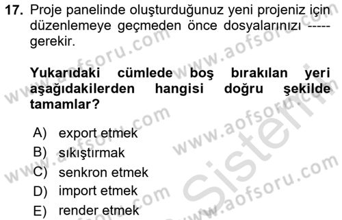 Dijital Video Kurgu Ve Efekt Dersi 2023 - 2024 Yılı (Vize) Ara Sınav Soruları 17. Soru