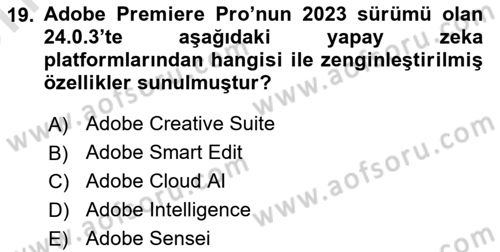Dijital Video Kurgu Ve Efekt Dersi 2023 - 2024 Yılı (Vize) Ara Sınav Soruları 19. Soru