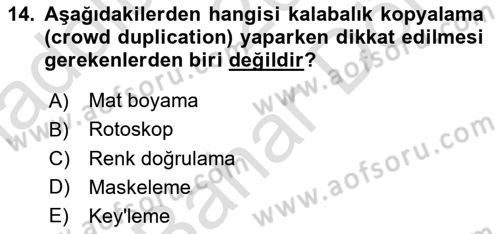 Dijital Video Kurgu Ve Efekt Dersi 2023 - 2024 Yılı (Final) Dönem Sonu Sınav Soruları 14. Soru
