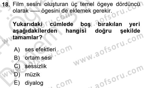 Dijital Video Kurgu Ve Efekt Dersi 2023 - 2024 Yılı (Final) Dönem Sonu Sınav Soruları 18. Soru