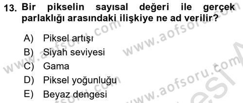 Dijital Video Kurgu Ve Efekt Dersi 2023 - 2024 Yılı Yaz Okulu Sınav Soruları 13. Soru
