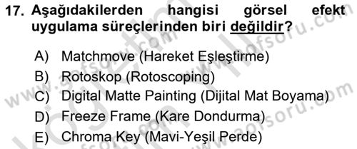 Dijital Video Kurgu Ve Efekt Dersi 2023 - 2024 Yılı Yaz Okulu Sınav Soruları 17. Soru