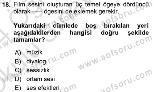 Dijital Video Kurgu Ve Efekt Dersi 2023 - 2024 Yılı Yaz Okulu Sınav Soruları 18. Soru