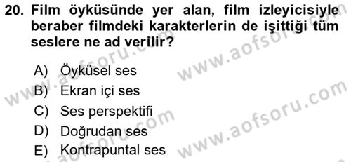 Dijital Video Kurgu Ve Efekt Dersi 2023 - 2024 Yılı Yaz Okulu Sınav Soruları 20. Soru