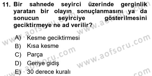 Dijital Video Kurgu Ve Efekt Dersi 2024 - 2025 Yılı (Vize) Ara Sınav Soruları 11. Soru