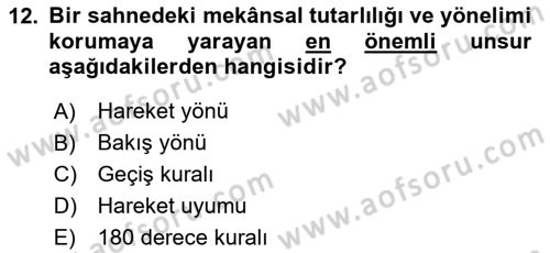 Dijital Video Kurgu Ve Efekt Dersi 2024 - 2025 Yılı (Vize) Ara Sınav Soruları 12. Soru