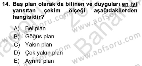 Dijital Video Kurgu Ve Efekt Dersi 2024 - 2025 Yılı (Vize) Ara Sınav Soruları 14. Soru