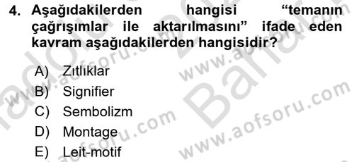 Dijital Video Kurgu Ve Efekt Dersi 2024 - 2025 Yılı (Vize) Ara Sınav Soruları 4. Soru