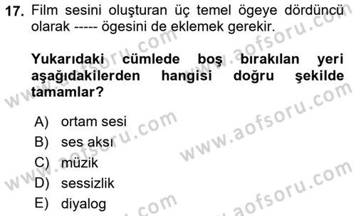 Dijital Video Kurgu Ve Efekt Dersi 2024 - 2025 Yılı (Final) Dönem Sonu Sınav Soruları 17. Soru