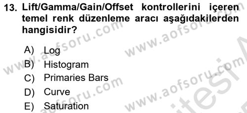 Dijital Video Kurgu Ve Efekt Dersi 2024 - 2025 Yılı Yaz Okulu Sınav Soruları 13. Soru