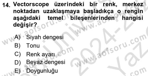 Dijital Video Kurgu Ve Efekt Dersi 2024 - 2025 Yılı Yaz Okulu Sınav Soruları 14. Soru