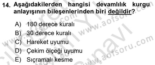 Dijital Video Kurgu Ve Efekt Dersi 2025 - 2026 Yılı (Vize) Ara Sınav Soruları 14. Soru