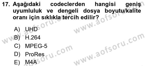 Dijital Video Kurgu Ve Efekt Dersi 2025 - 2026 Yılı (Vize) Ara Sınav Soruları 17. Soru