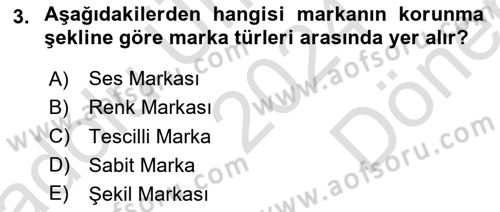 Kurumsal Kimlik Tasarımı Dersi 2024 - 2025 Yılı (Final) Dönem Sonu Sınav Soruları 3. Soru