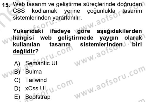 Dijital Medya Ve Arayüz Tasarımı Dersi 2024 - 2025 Yılı (Vize) Ara Sınav Soruları 15. Soru