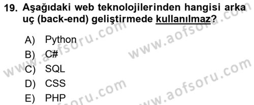 Dijital Medya Ve Arayüz Tasarımı Dersi 2024 - 2025 Yılı (Vize) Ara Sınav Soruları 19. Soru