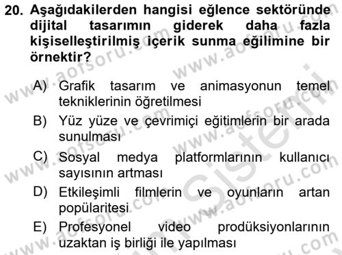Dijital Medya Ve Arayüz Tasarımı Dersi 2024 - 2025 Yılı (Final) Dönem Sonu Sınav Soruları 20. Soru