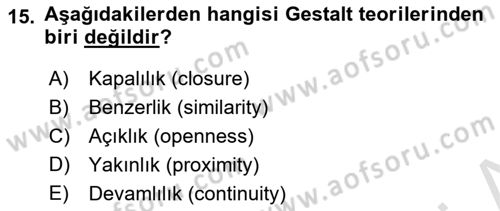 Görsel Sistem Tasarımları Dersi 2023 - 2024 Yılı (Final) Dönem Sonu Sınavı 15. Soru