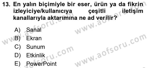 Görsel Sistem Tasarımları Dersi 2023 - 2024 Yılı Yaz Okulu Sınavı 13. Soru