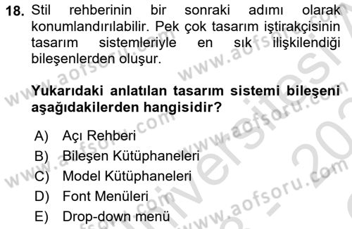 Görsel Sistem Tasarımları Dersi 2023 - 2024 Yılı Yaz Okulu Sınavı 18. Soru